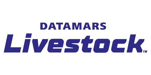 DATAMARS SA